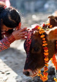 Cultural and Festival Tour