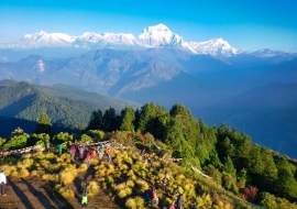 Ghorepani Poonhill Trekking