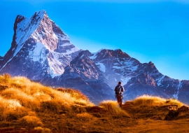 Mardi Himal Trekking